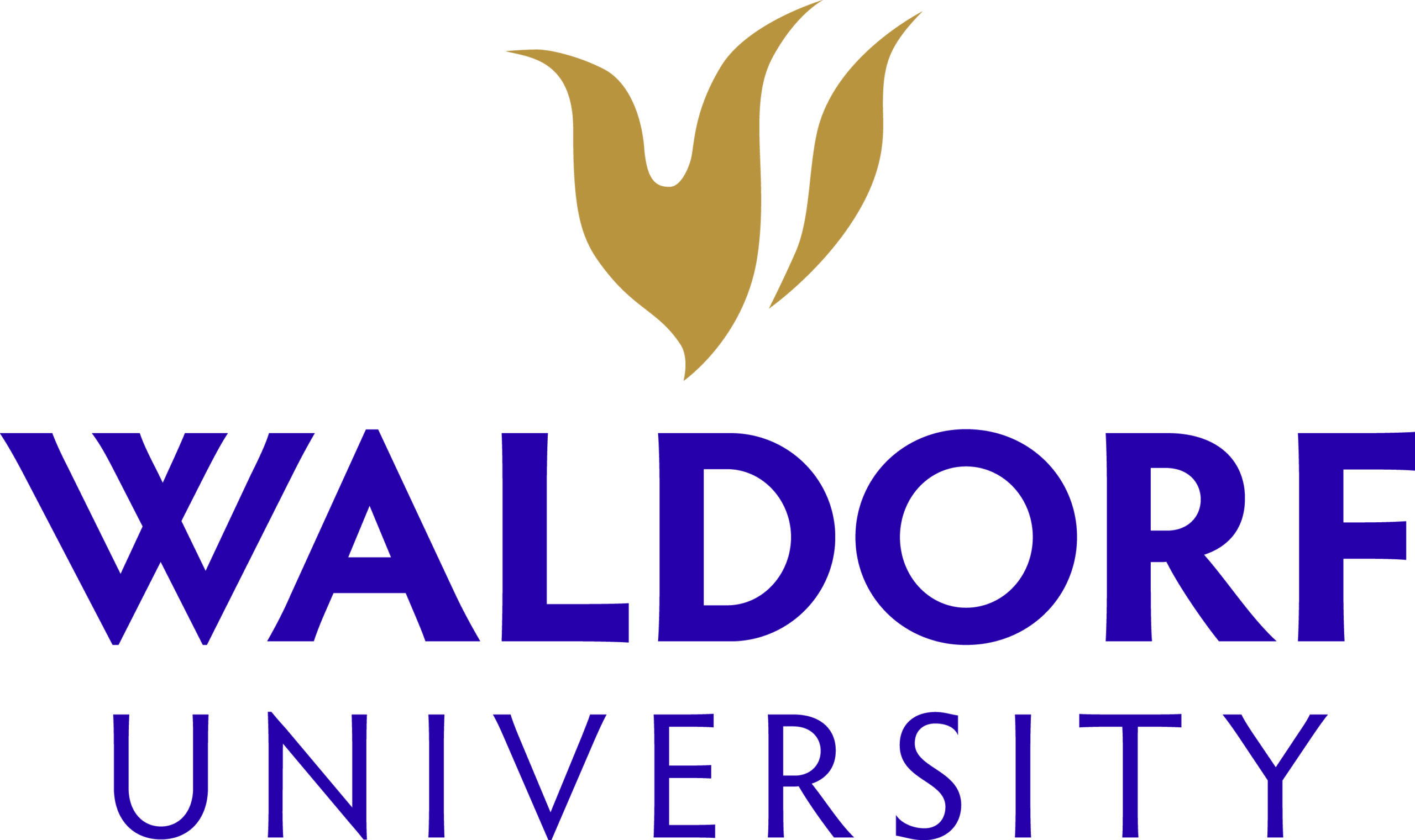 Waldorf University home page